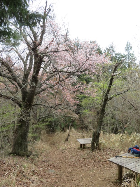 甘草水入り口