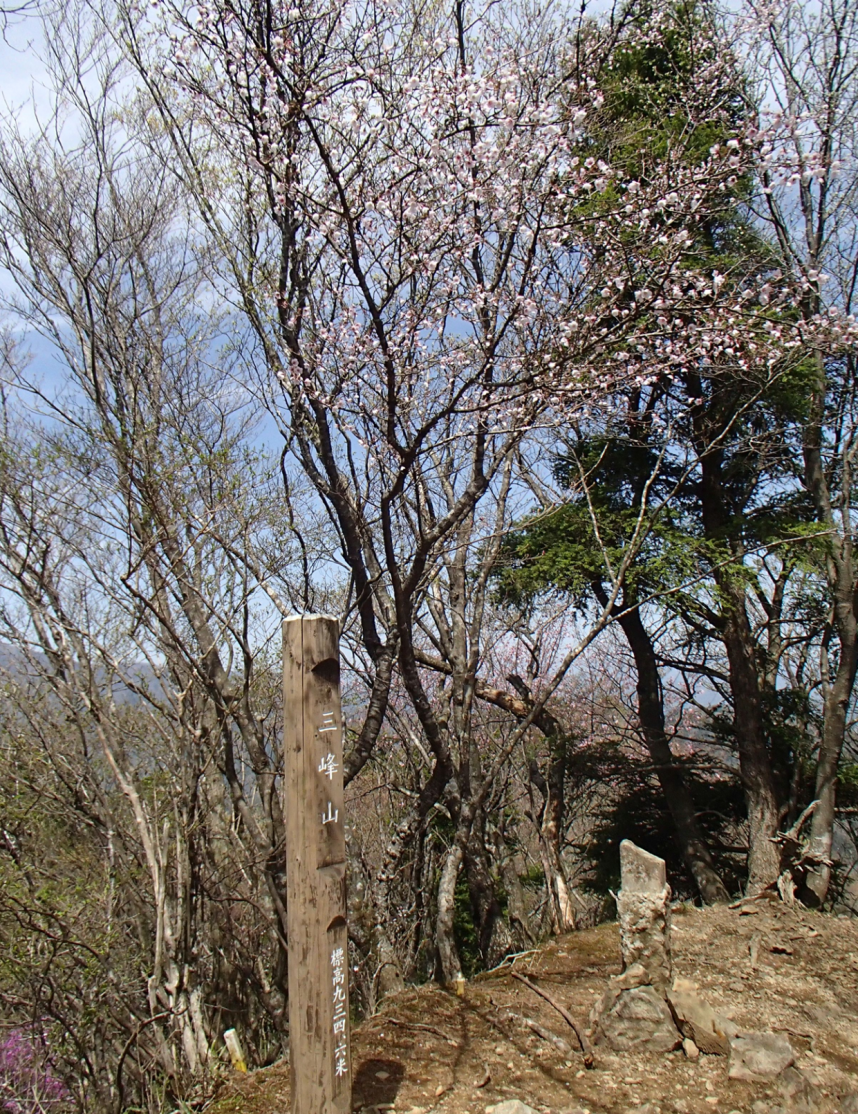 大山三峰山頂