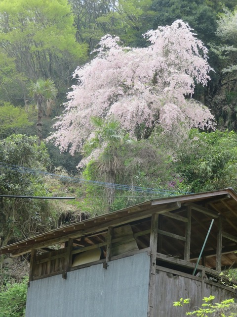 和田周辺