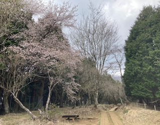 小草平周辺