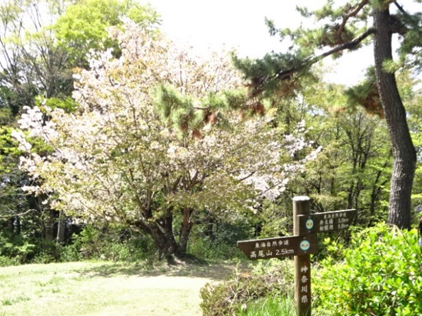 小仏城山