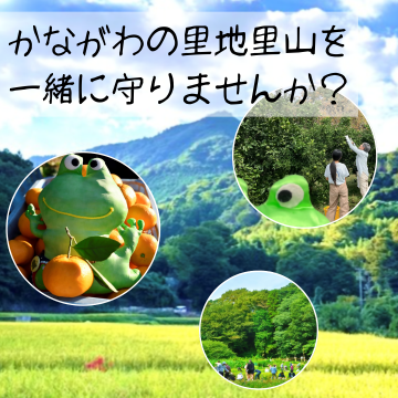 kanagawa2