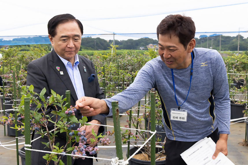 ブルーベリー農園