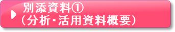 別添資料1(分析・活用資料概要)