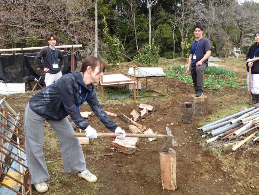 伐採木での薪づくり