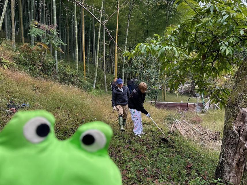 竹林整備
