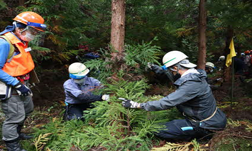 07picforest
