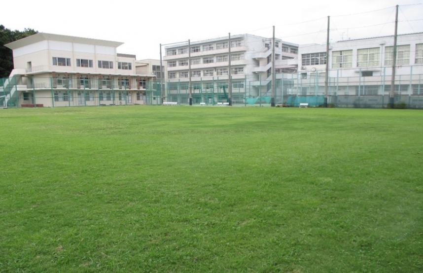 16piclawn