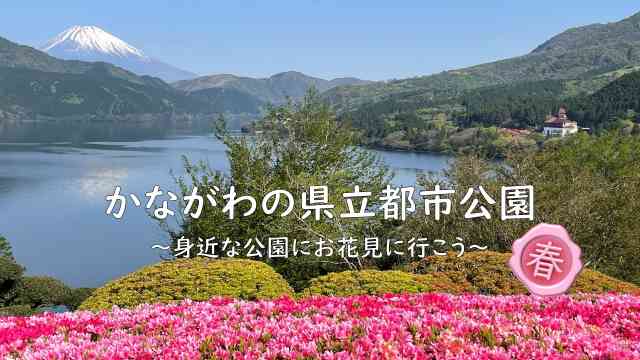 harudouga