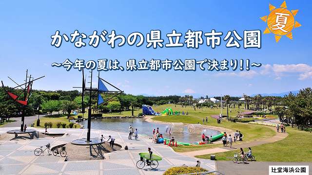 今年の夏は県立都市公園で決まり