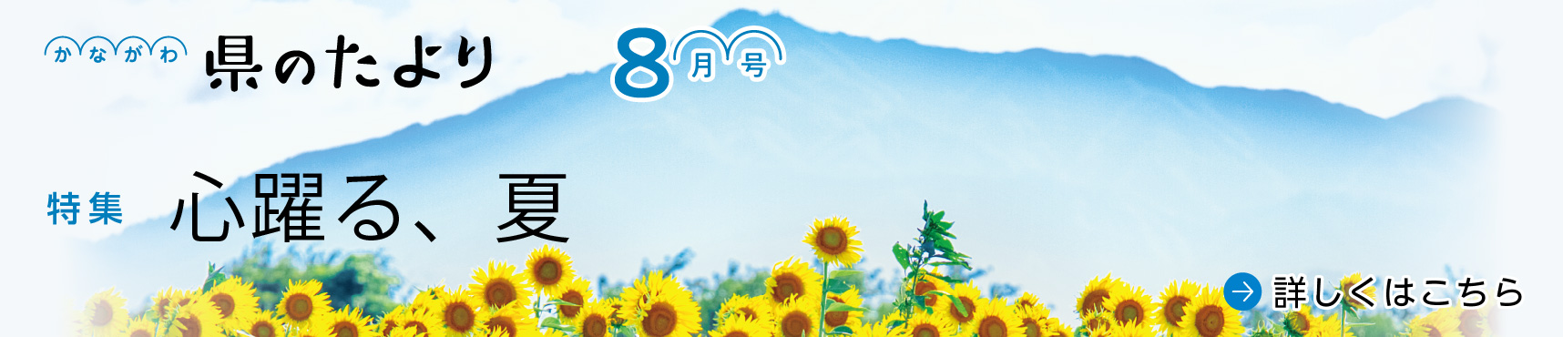 8月号バナー