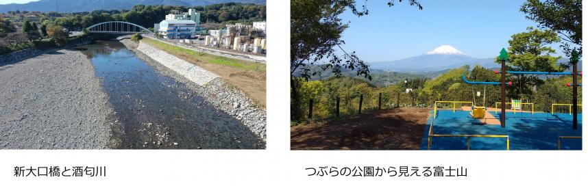 新大口橋とつぶらの公園