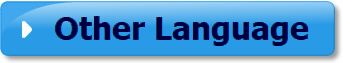 other language