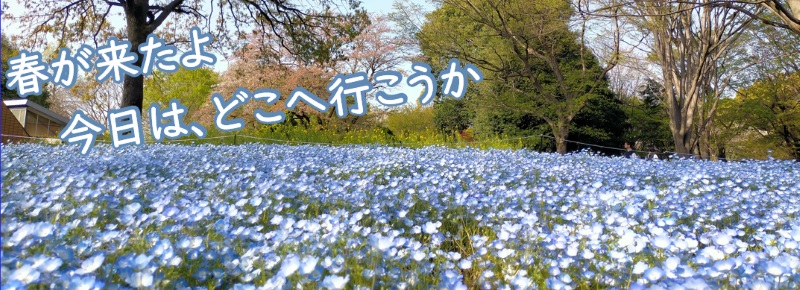 sprinng