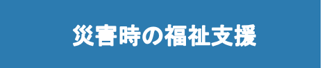 saigaijinohukusisienn