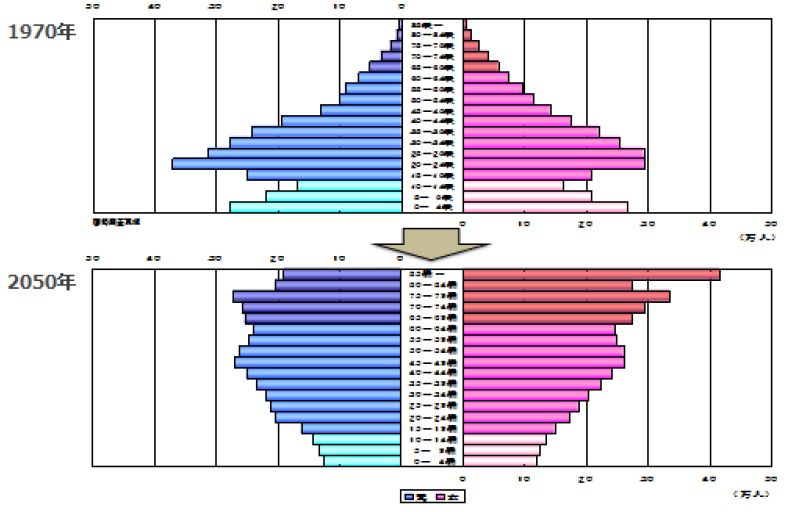 population-pyramid