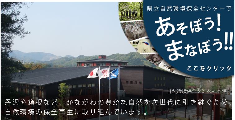 自然環境保全センターであそぼう、まなぼう！
