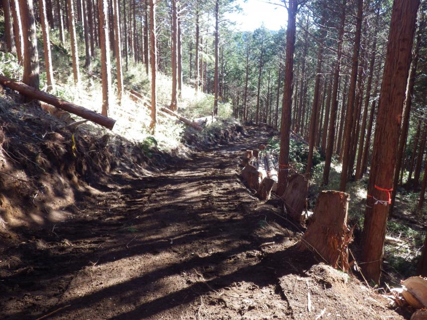 作業道の作設