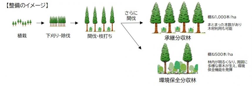森林整備イメージ