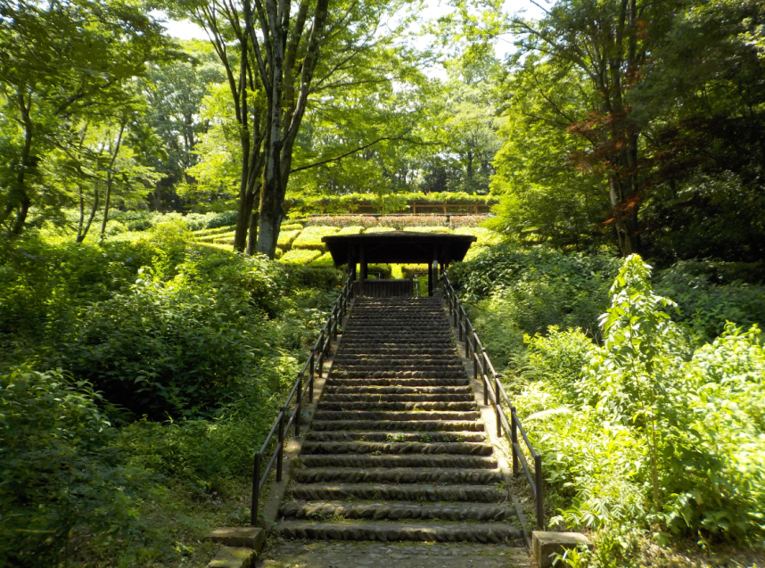 花木広場