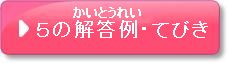 5の解答例　てびき
