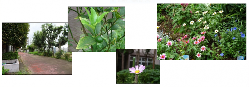 111-555sanpo.PNG