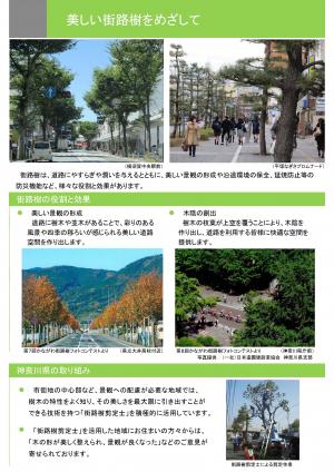 美しい街路樹をめざして