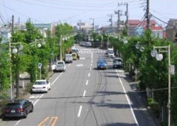 電線類の地中化(県道607号平塚港)前