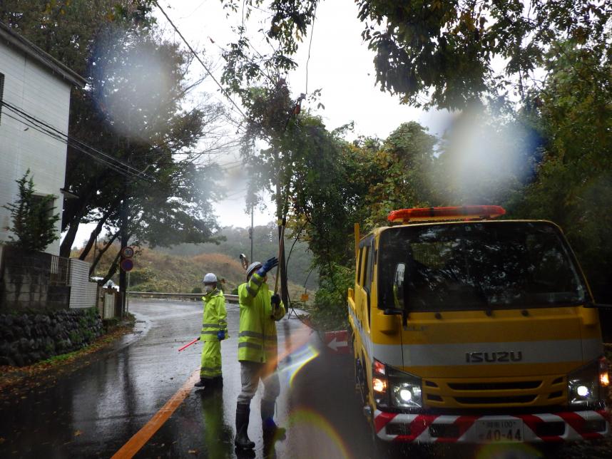 道路監視員による枝木剪定