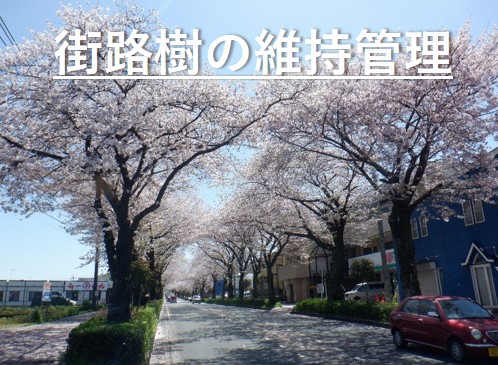 トップ画像(街路樹の維持管理)