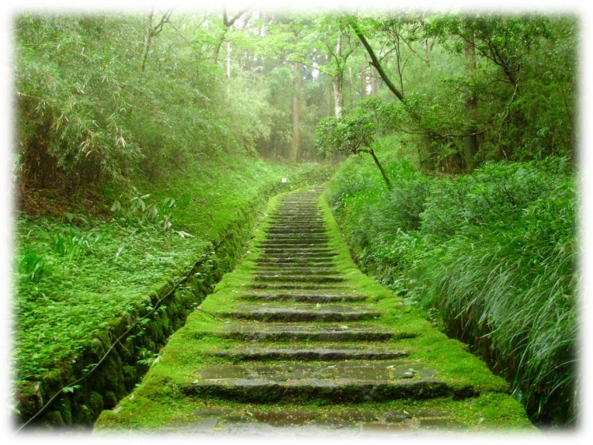 hakone4