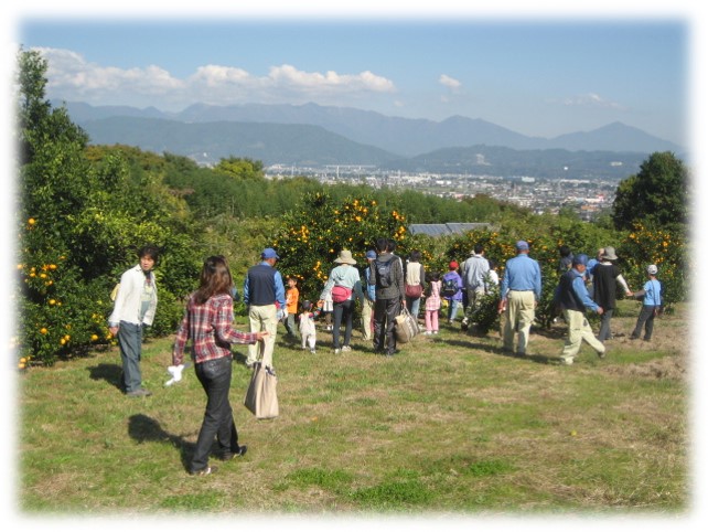 suwanohara2