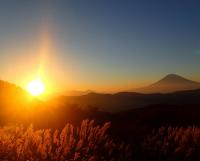 仙石原のススキ草原から見た夕日と富士山