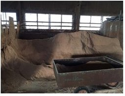 敷料にはオガ粉を使用しており牛舎に隣接する倉庫で管理される