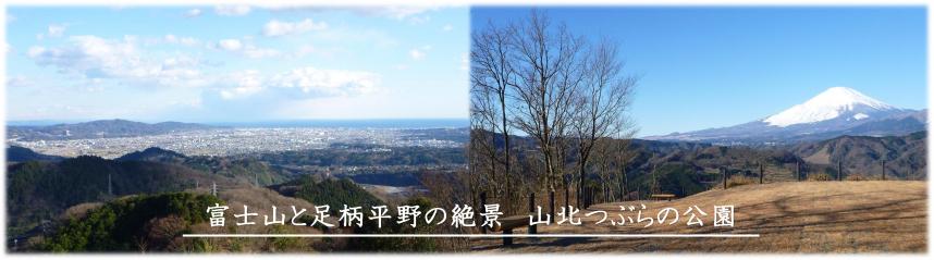富士山と足柄平野の写真（山北つぶらの公園）