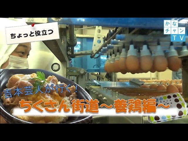 かなちゃんTV養鶏