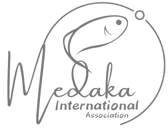 一般社団法人IMA国際メダカ愛好会