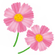 秋の花イメージ画像