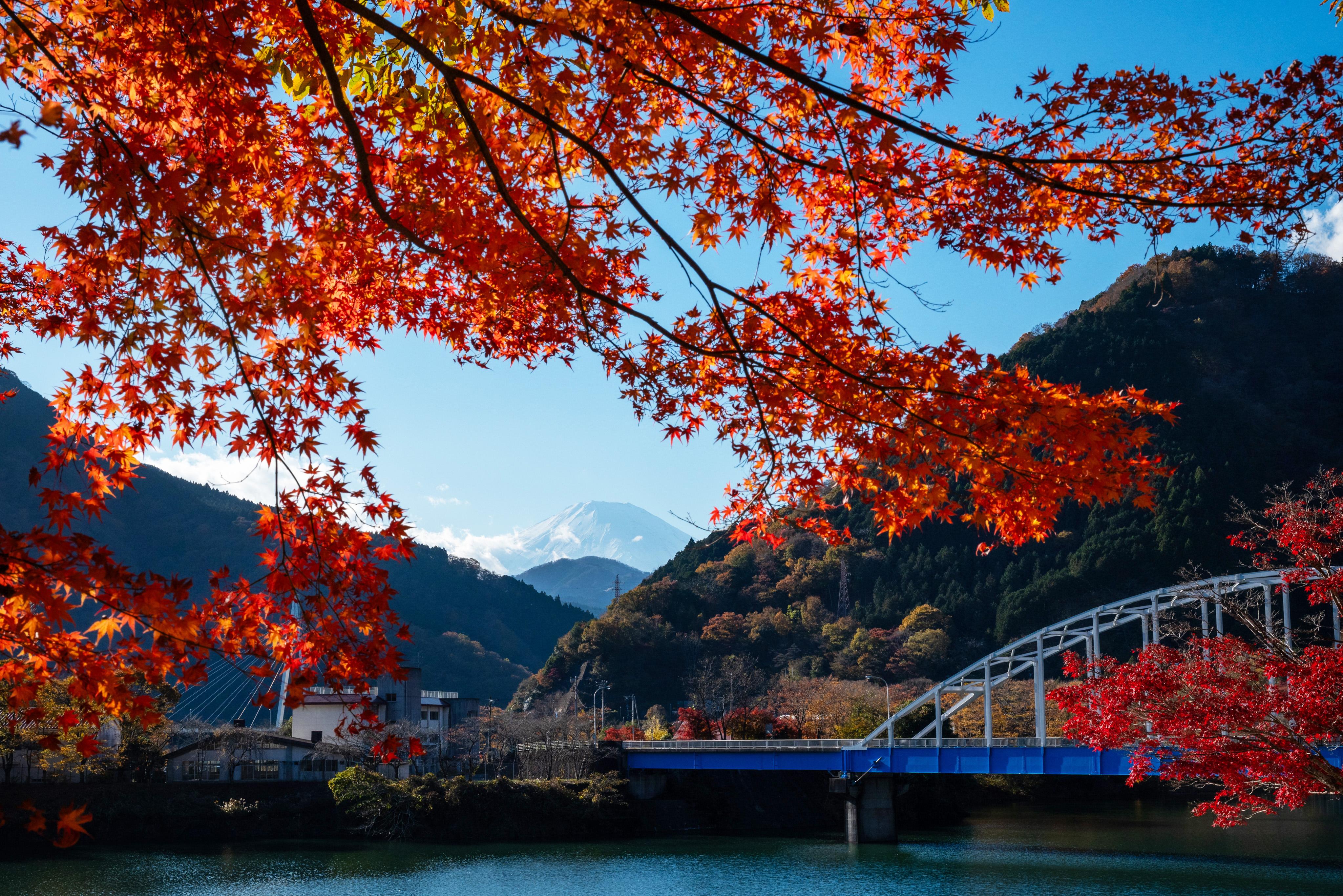 錦秋の彩り