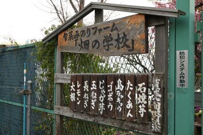 旬菜みのりファーム