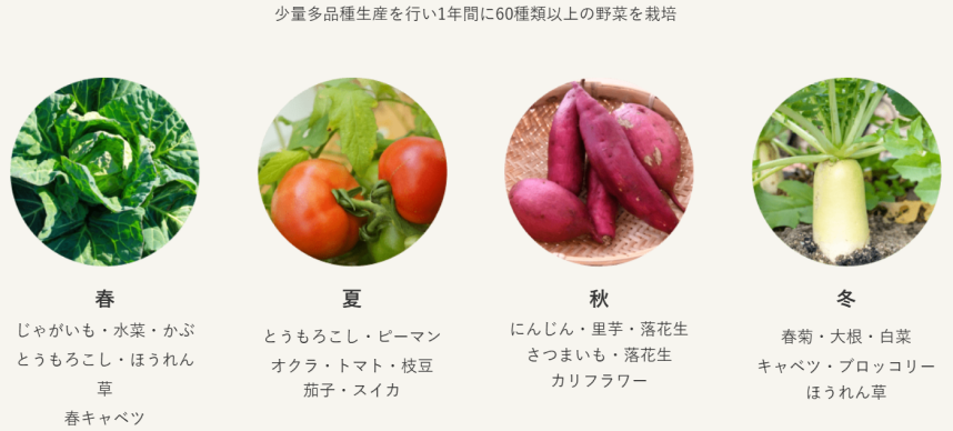 野菜リスト