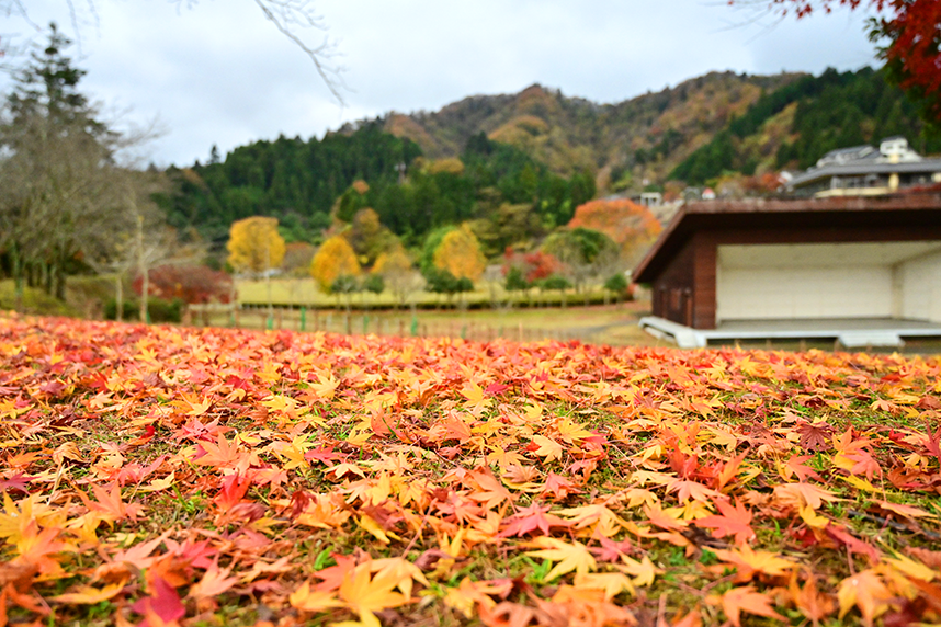 宮ヶ瀬湖、秋の風景