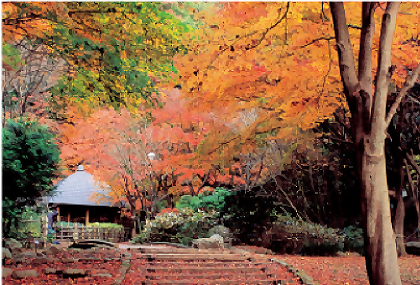 県立七沢森林公園