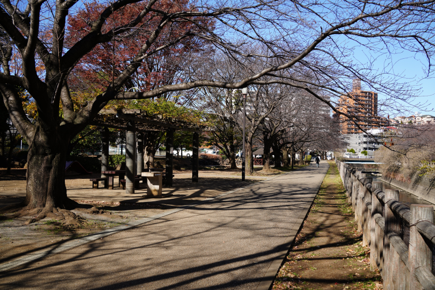 北部公園