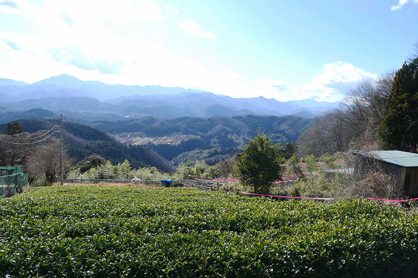 帰り道の途中で見える風景