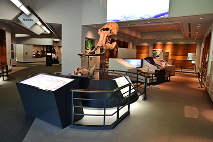 相模原市立博物館の展示