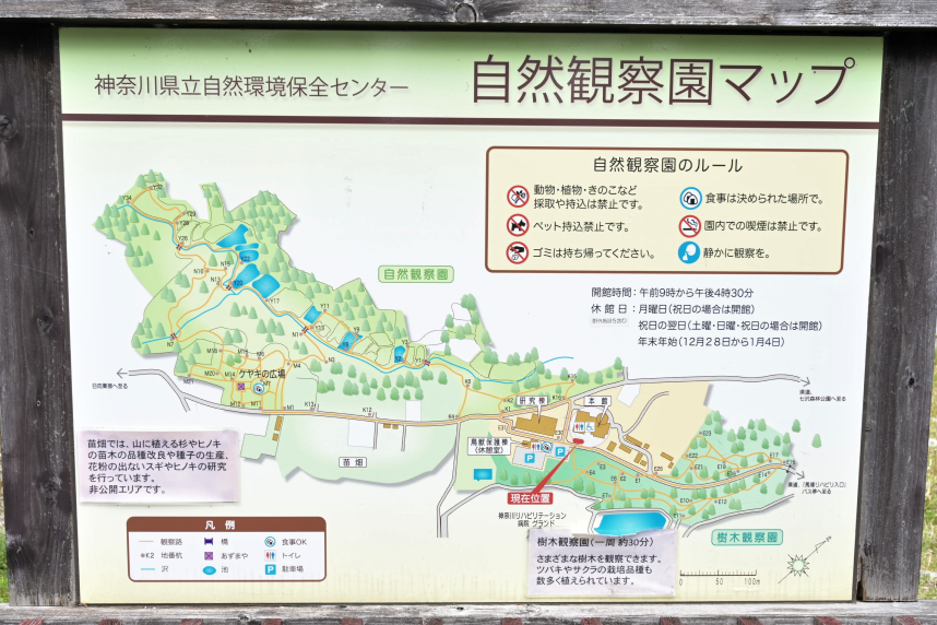 エリア内案内の簡易地図