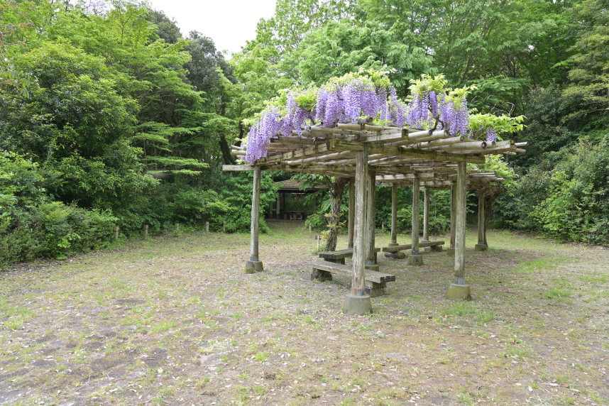 自然観察園にある休憩拠点