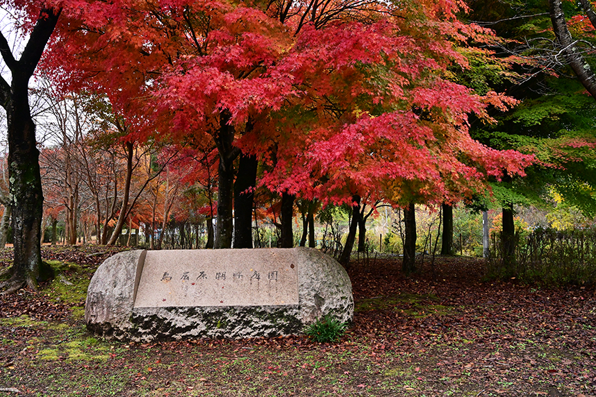 鳥居原湖畔庭園