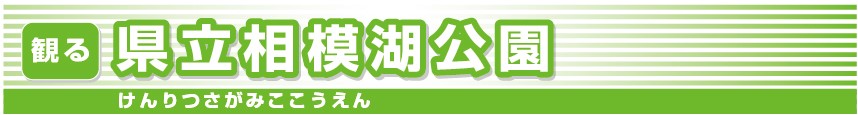 県立相模湖公園